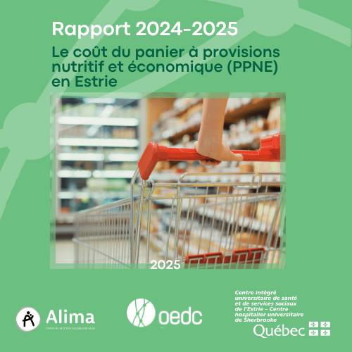 Rapport d'analyse PPNE Estrie 2024-2025